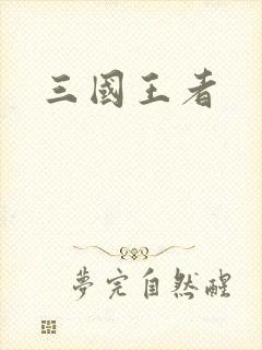 三国王者封面