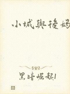 小城与后妈封面