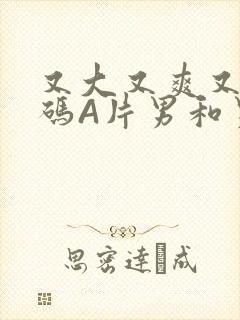 又大又爽又黄无码A片男和男