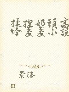 揉捏奶头高潮呻吟羞羞小说封面