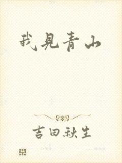 我见青山封面