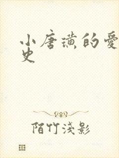 小唐璜的爱情历史封面