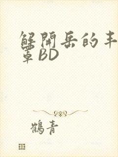 解开岳的丰满奶罩BD