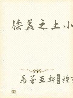 膝盖之上小说封面