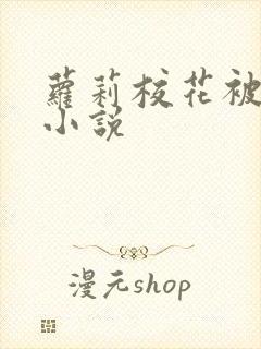 萝莉校花被插的小说