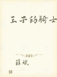 王子的骑士封面