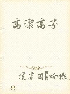 高洁高芳封面