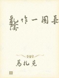 乱作一团长日光阴封面