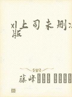 xl上司未删减版