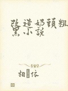 改造奶头粗大长黑小说