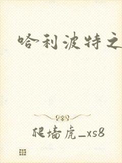 哈利波特之守护封面