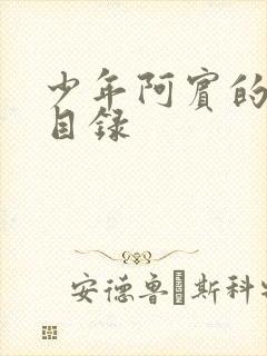 少年阿宾的故事目录