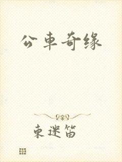 公车奇缘