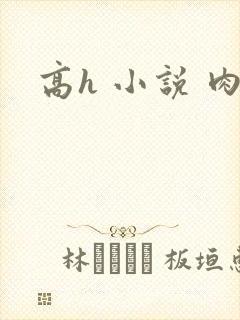 高h 小说 肉封面