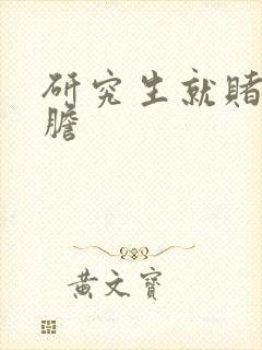 研究生就赌一个胆封面