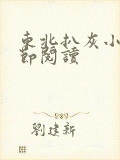 东北扒灰小说分节阅读