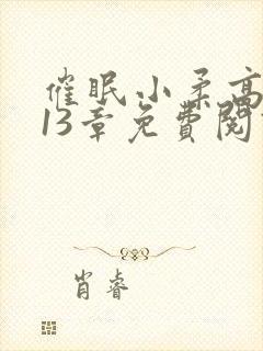 催眠小柔高达第13章免费阅读