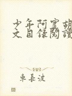 少年阿宾胡太全文目录阅读在线封面