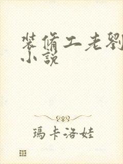 装修工老刘林雪小说