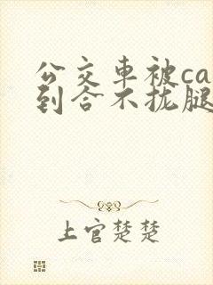 公交车被cao到合不拢腿视频