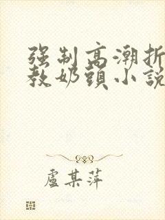 强制高潮折磨调教奶头小说