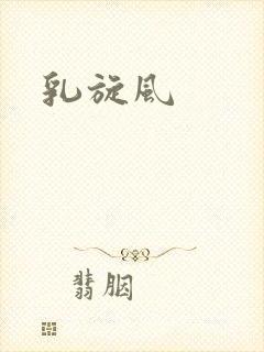 乳旋风封面