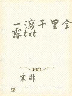 一泻千里金银花露txt