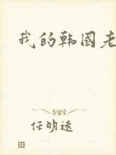 我的韩国老婆封面