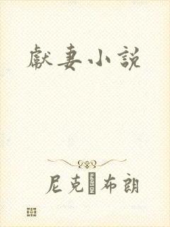 献妻小说封面