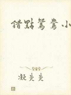 错点鸳鸯小说