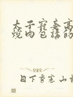 太子宠妾高肉红烧肉包讲的什么