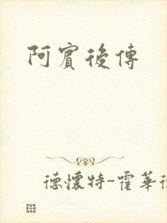 阿宾后传
