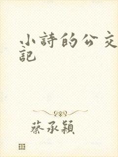 小诗的公交车日记封面