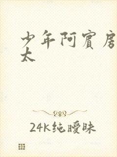 少年阿宾房东太太