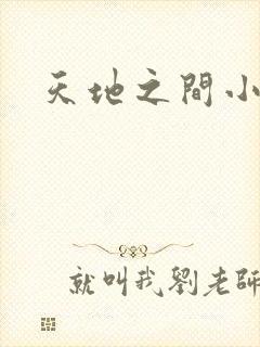 天地之间小说封面