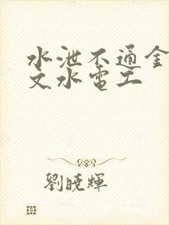 水泄不通金银原文水电工