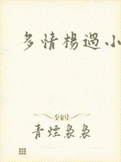 多情杨过小说封面