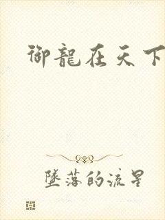 御龙在天下载封面