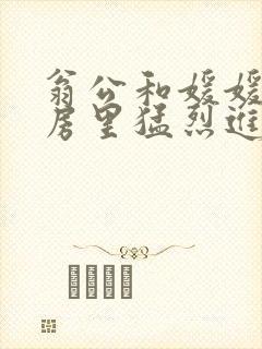 翁公和媛媛在厨房里猛烈进出