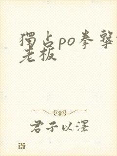 独占po拳击馆老板