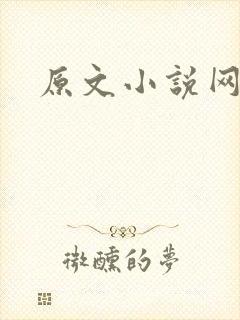 原文小说网