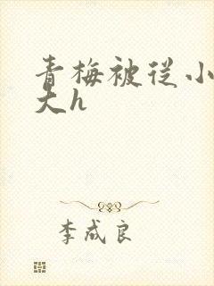 青梅被从小摸到大h封面