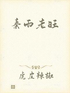 秦雨老旺封面