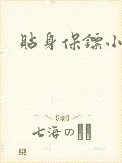 贴身保镖小说封面