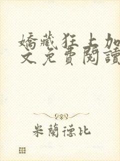 娇藏狂上加狂全文免费阅读笔趣阁