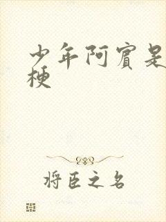 少年阿宾是什么梗