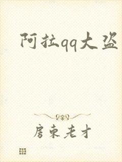 阿拉qq大盗封面