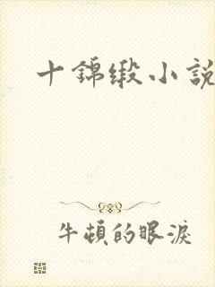 十锦缎小说