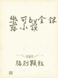 乐可by金银花露小说