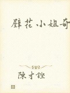 壁花小姐奇遇记封面